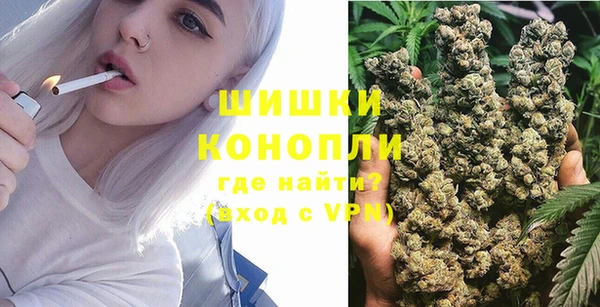 дживик Нязепетровск