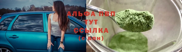 эйфоретик Новодвинск