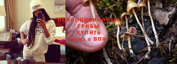 дживик Нязепетровск