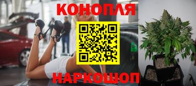 ПСИЛОЦИБИНОВЫЕ ГРИБЫ Дубна