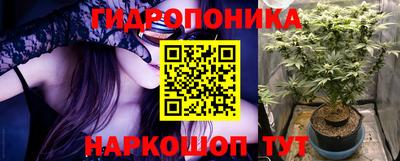 молекула духа Донской